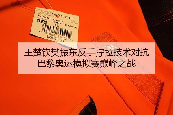王楚钦樊振东反手拧拉技术对抗 巴黎奥运模拟赛巅峰之战