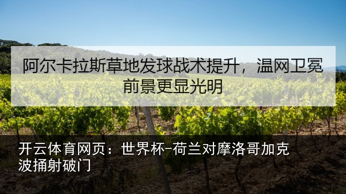 开云体育网页:世界杯-荷兰对摩洛哥加克波捅射破门