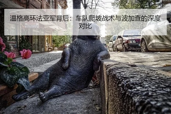 wen-ge-gao-huan-fa-ya-jun-bei-hou-che-dui-pa-po-zhan-shu-yu-bo-jia-cha-de-shen-du-dui-bi-2-825.jpg