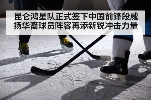 昆仑鸿星队正式签下中国前锋段威扬华裔球员阵容再添新锐冲击力量